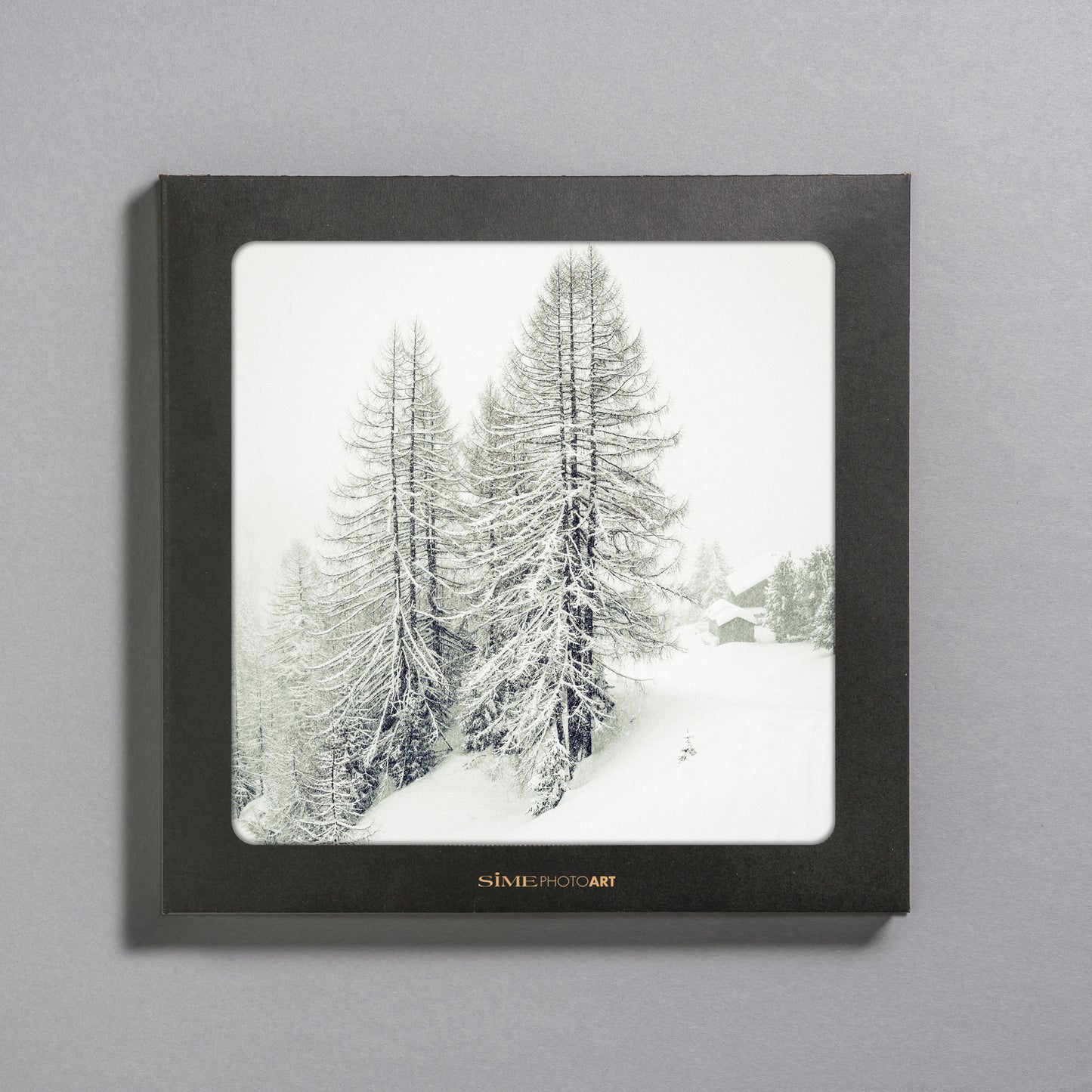 Snow-covered trees on Mount Burz